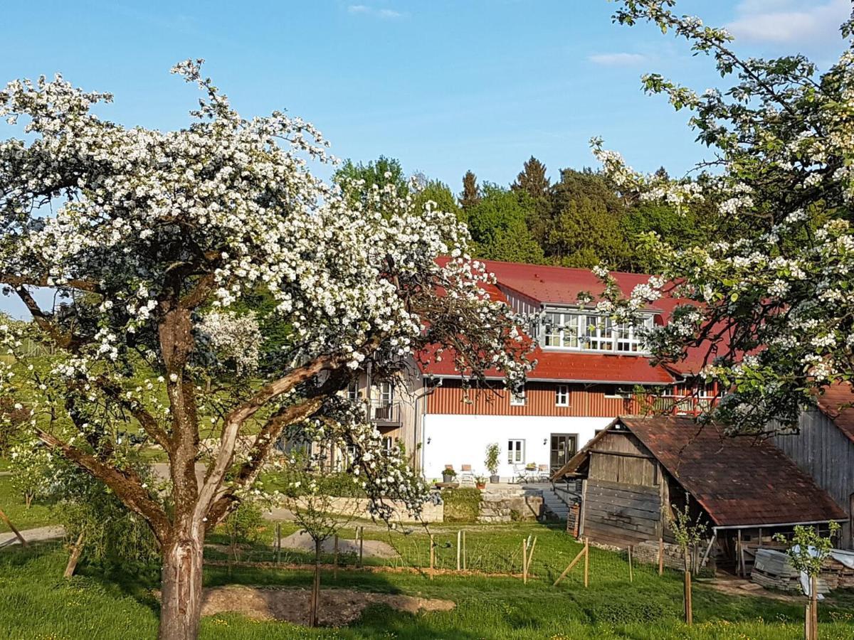 Готель Landgut Apfelrose Фрідріхсгафен Екстер'єр фото