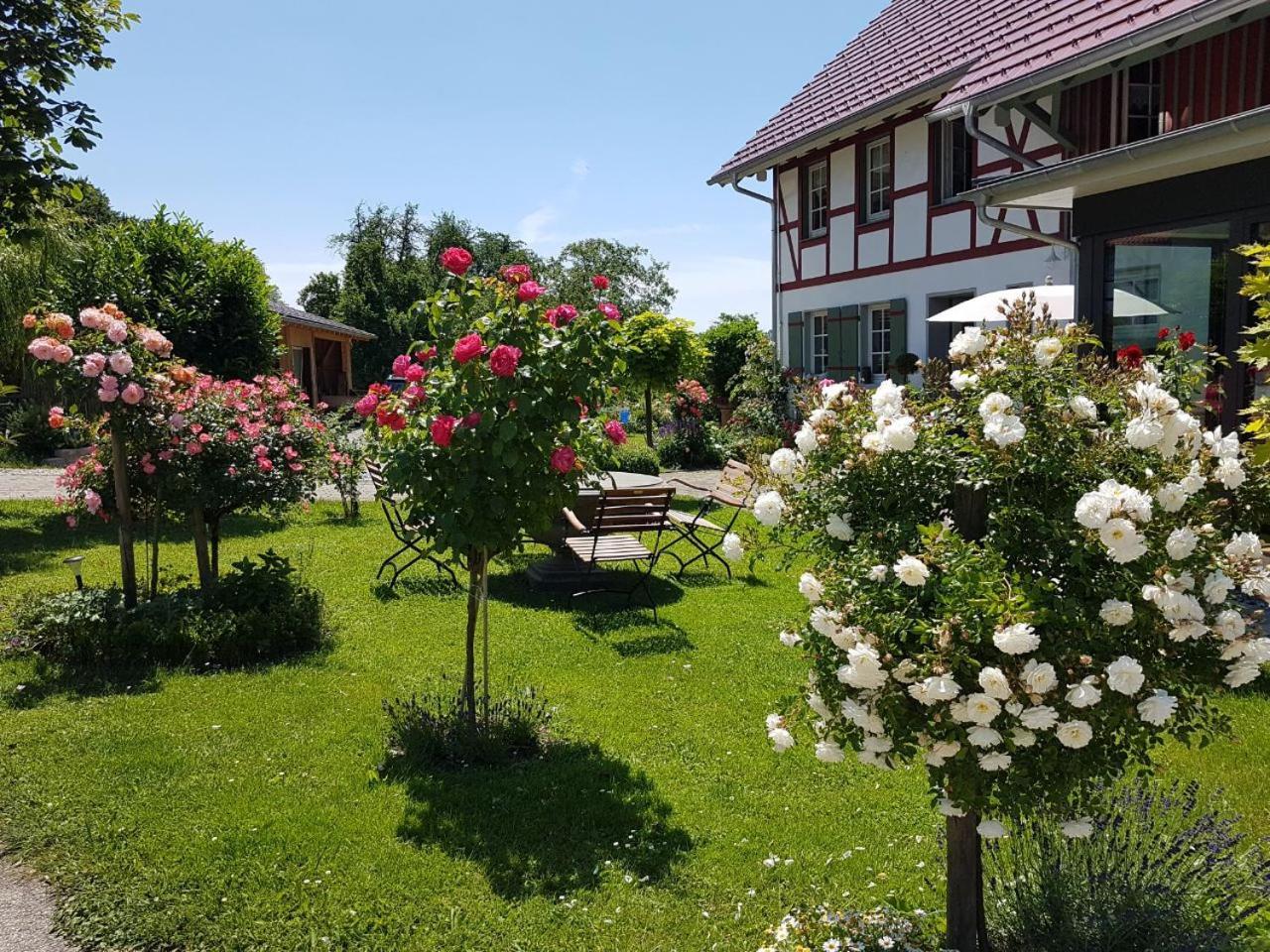 Готель Landgut Apfelrose Фрідріхсгафен Екстер'єр фото