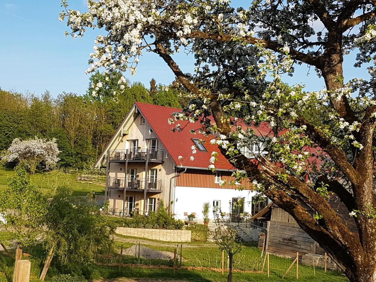 Готель Landgut Apfelrose Фрідріхсгафен Екстер'єр фото